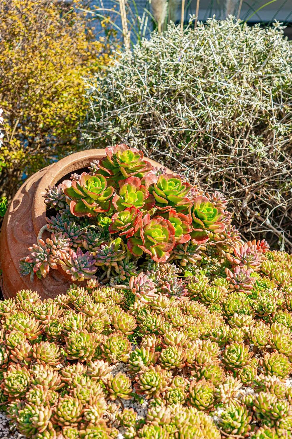 带你去双廊,住在浪漫的双廊洱海边看风景