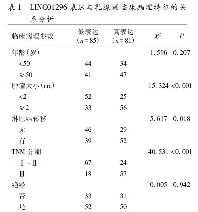 乳腺癌组织低分化,乳腺癌的分子生物学检测意义