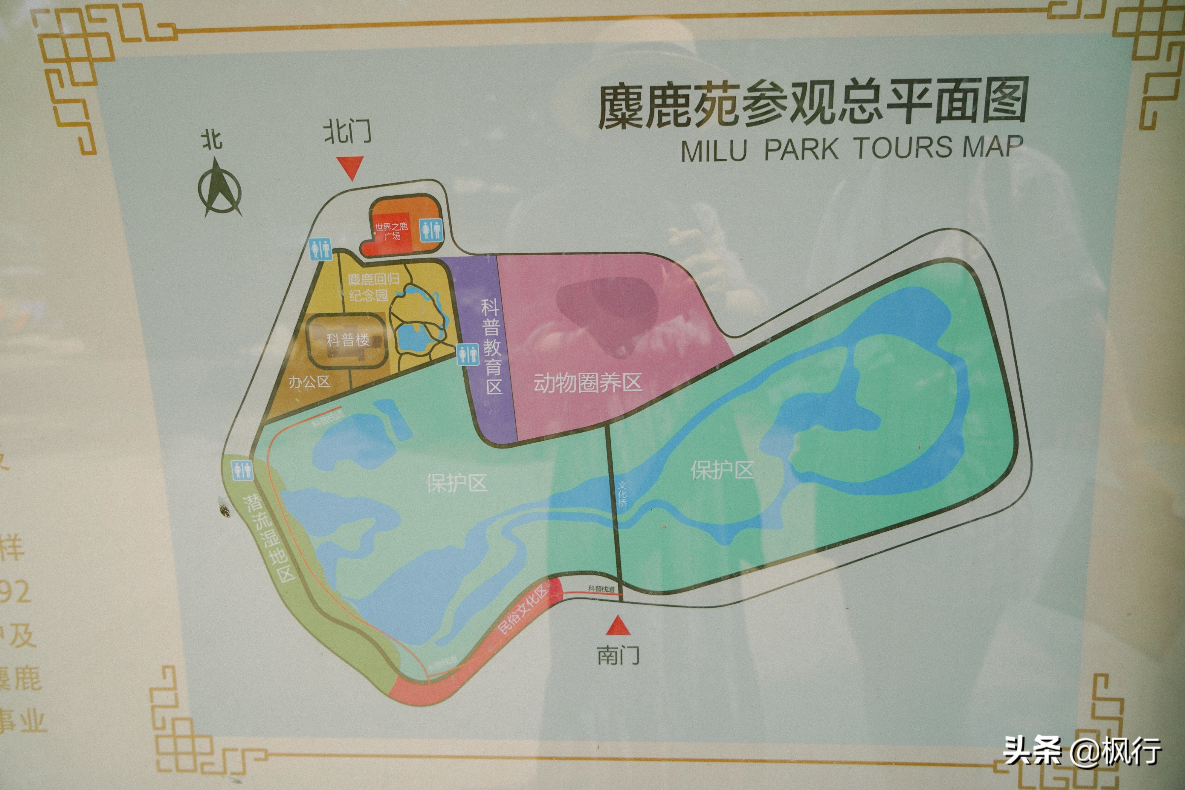 平替奈良小鹿,南海公园奈良小麋鹿