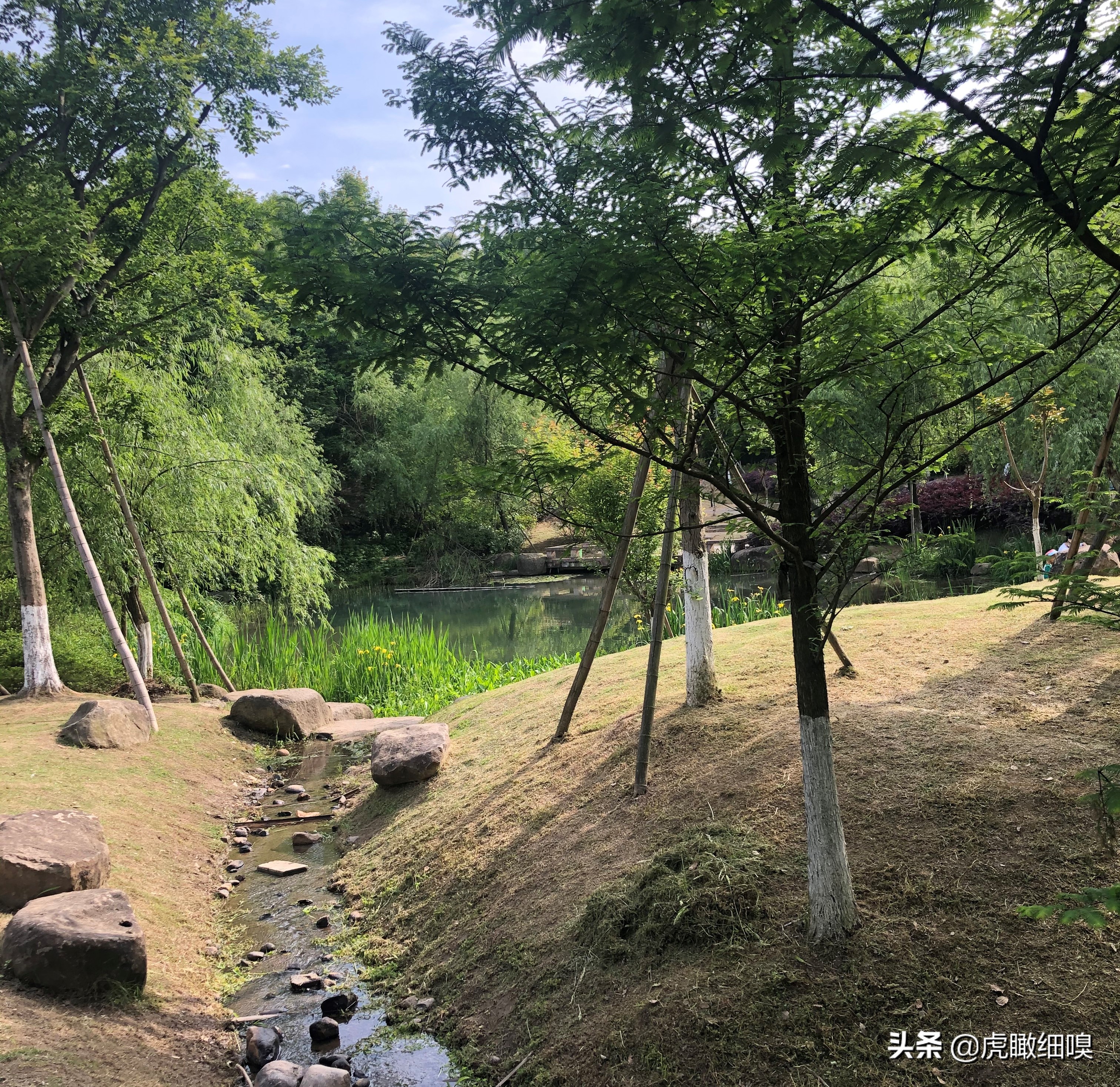 杭州冠山风景,杭州滨江区冠山公园