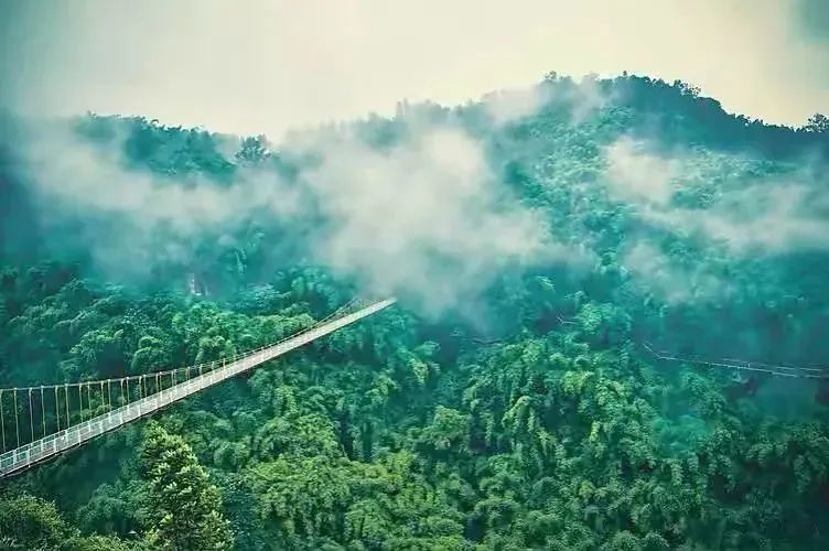 邛崃川西竹海攻略,邛崃竹海徒步攻略