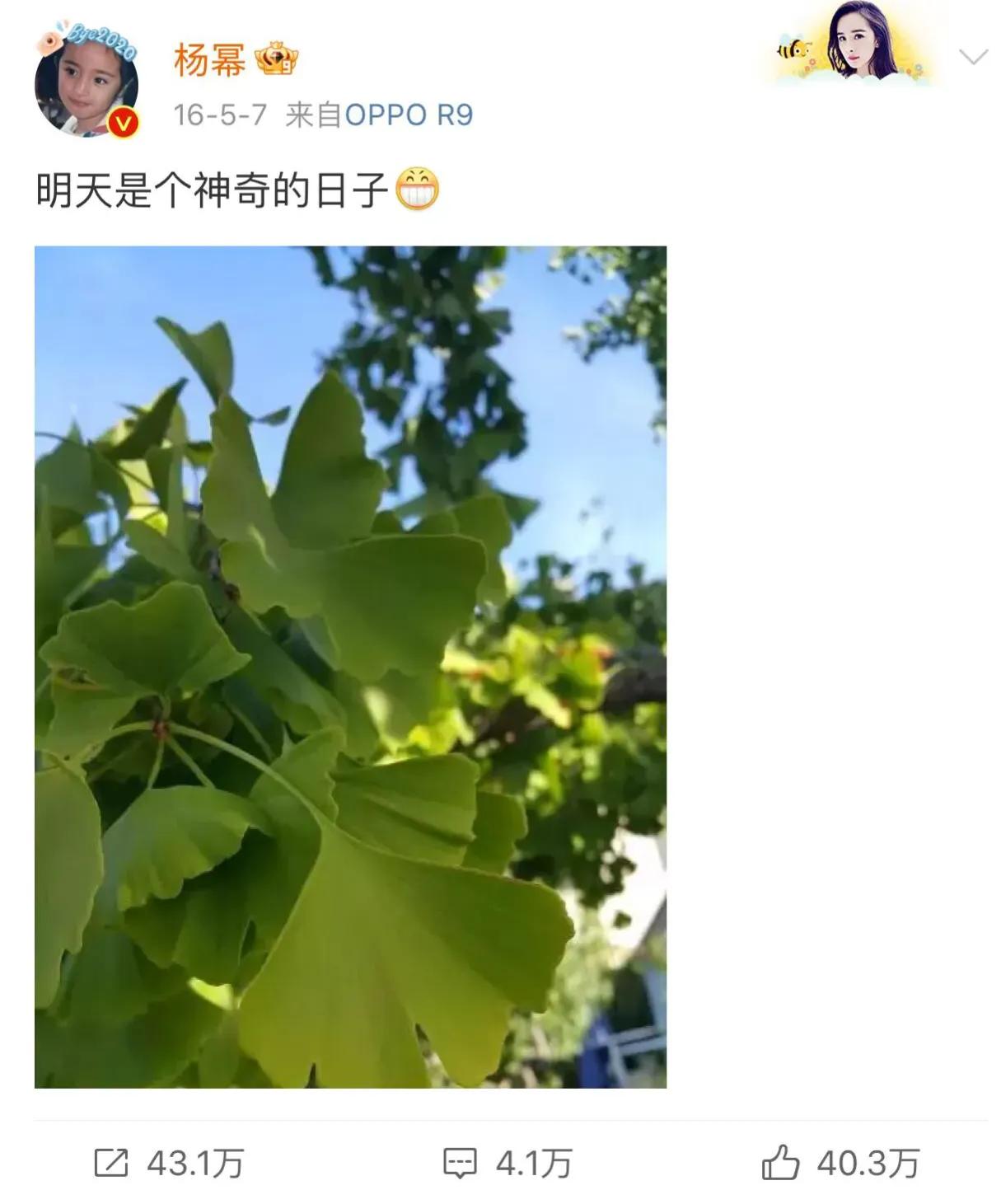 杨幂首谈与嘉行解约是真的吗,杨幂告别嘉行后嘉行怎么样了