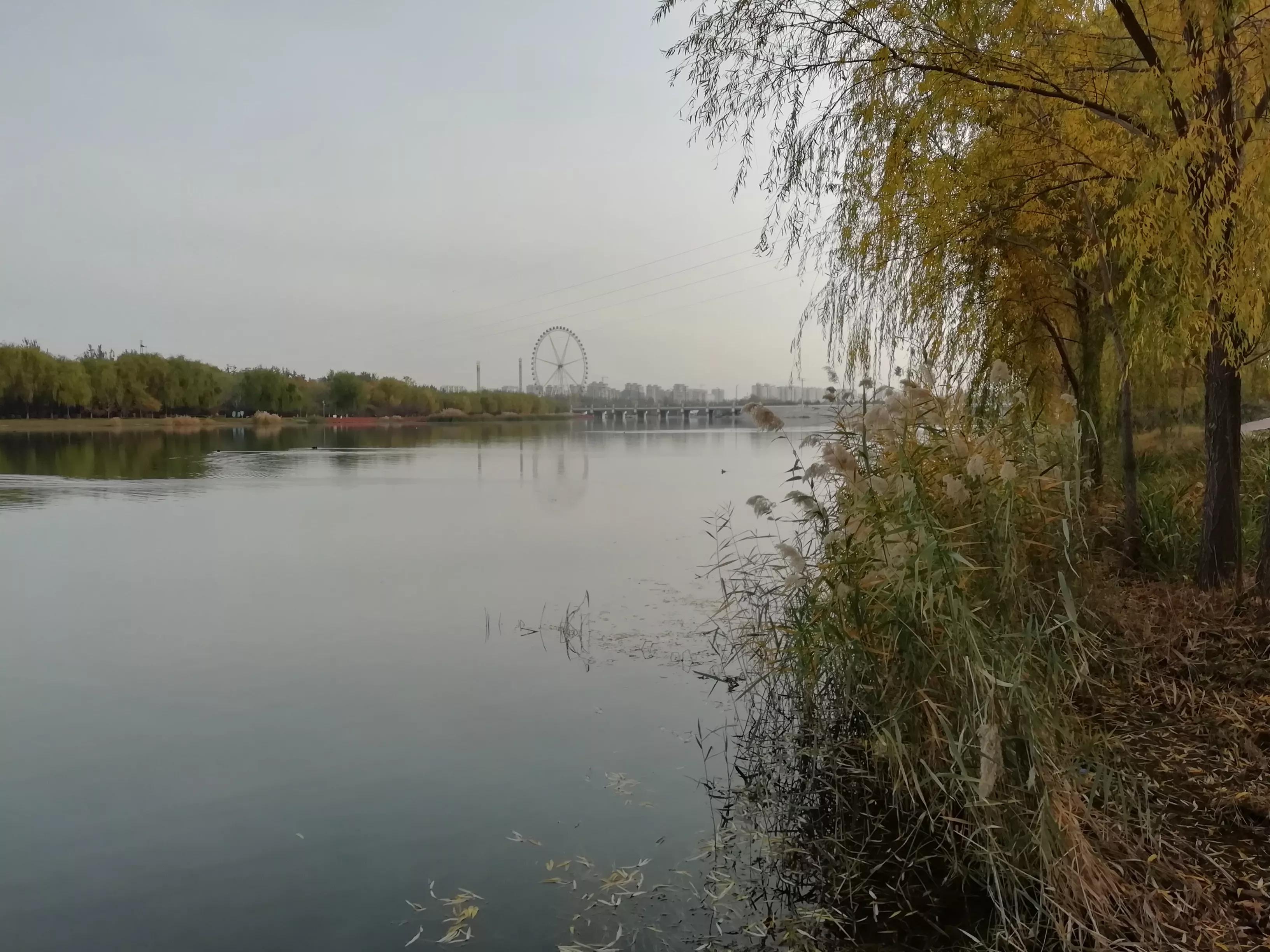 我的跑步历程回忆之路,我的运动经验分享