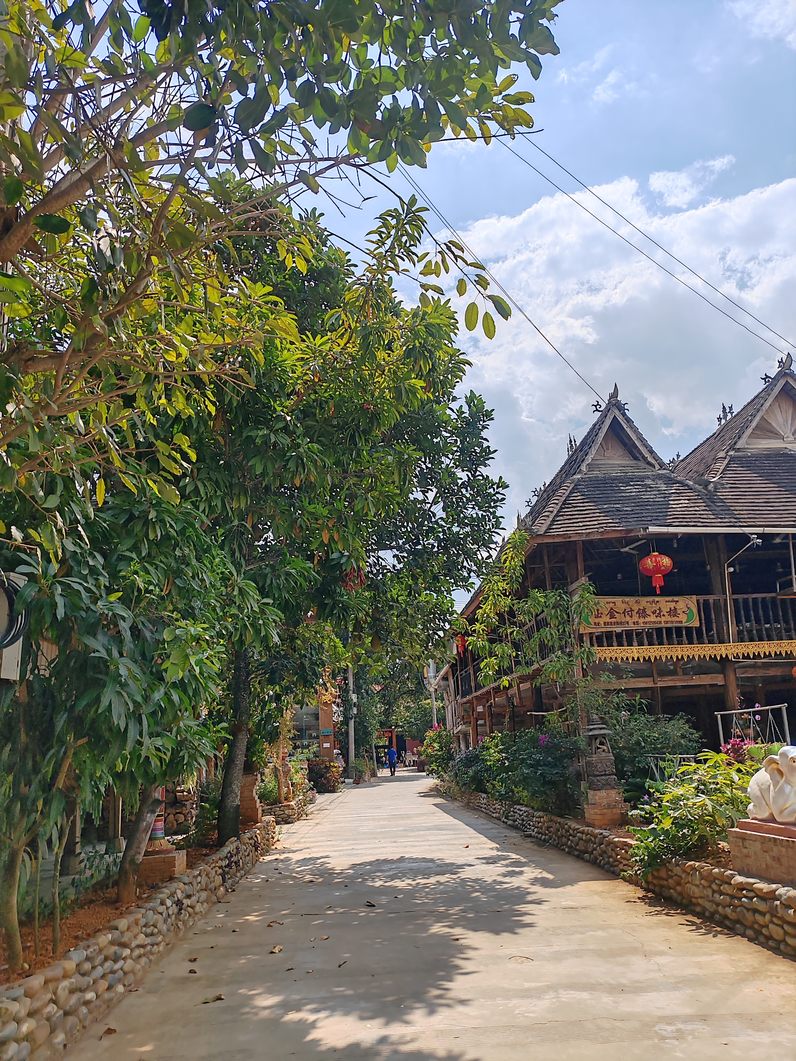 西双版纳傣族村寨和傣族园,西双版纳美丽的傣族园