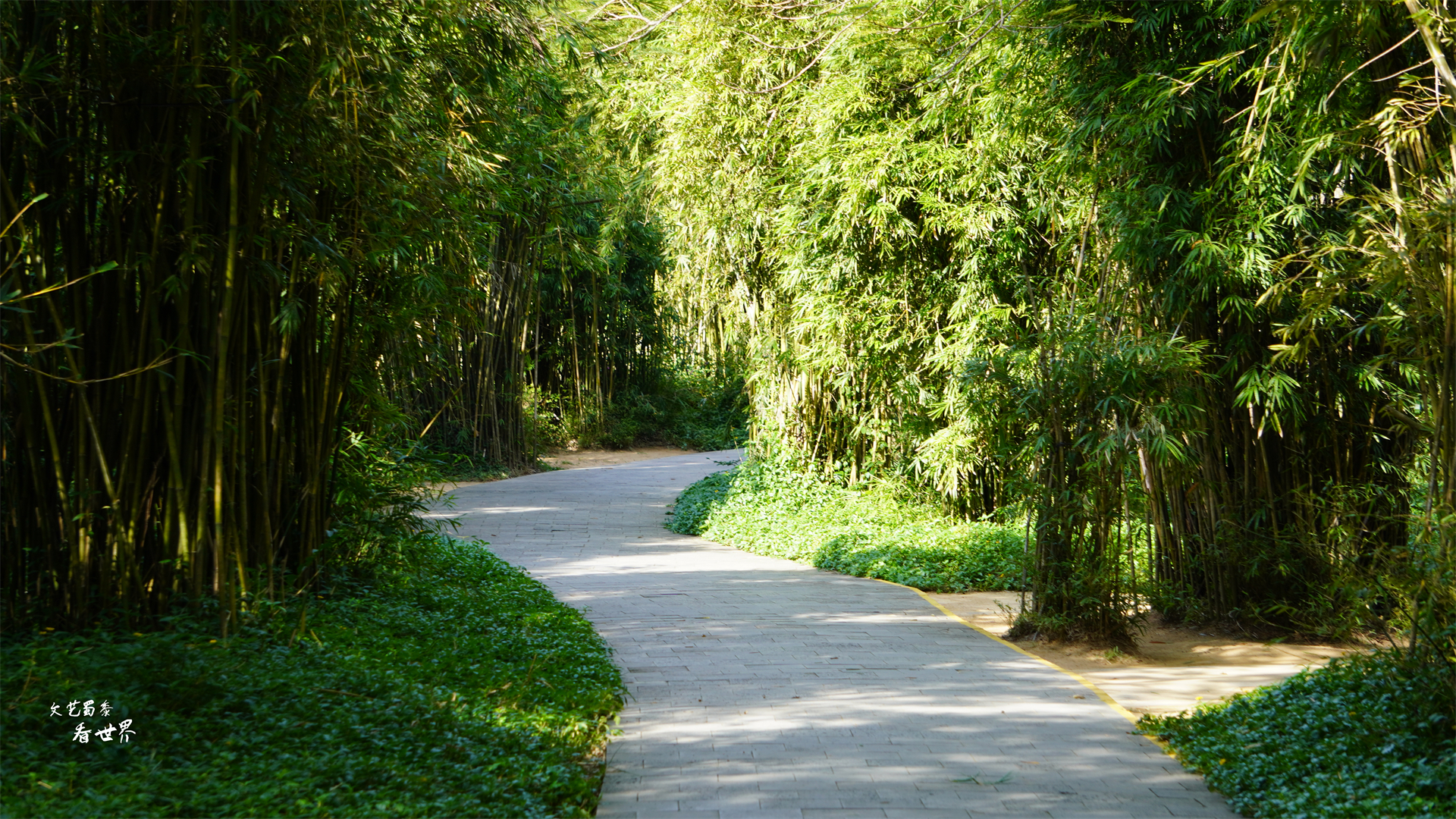 三亚猴岛的猕猴的禁闭室,海南猴岛禁闭室