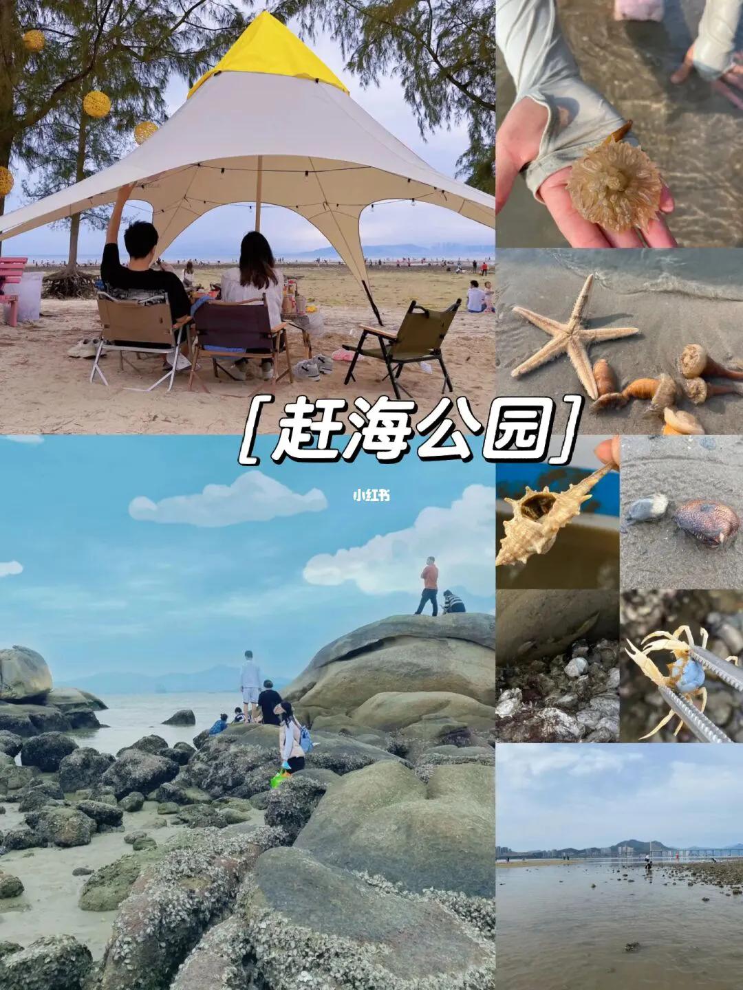 巽寮湾旅游攻略3天两晚住宿推荐,巽寮湾旅游攻略住宿别墅