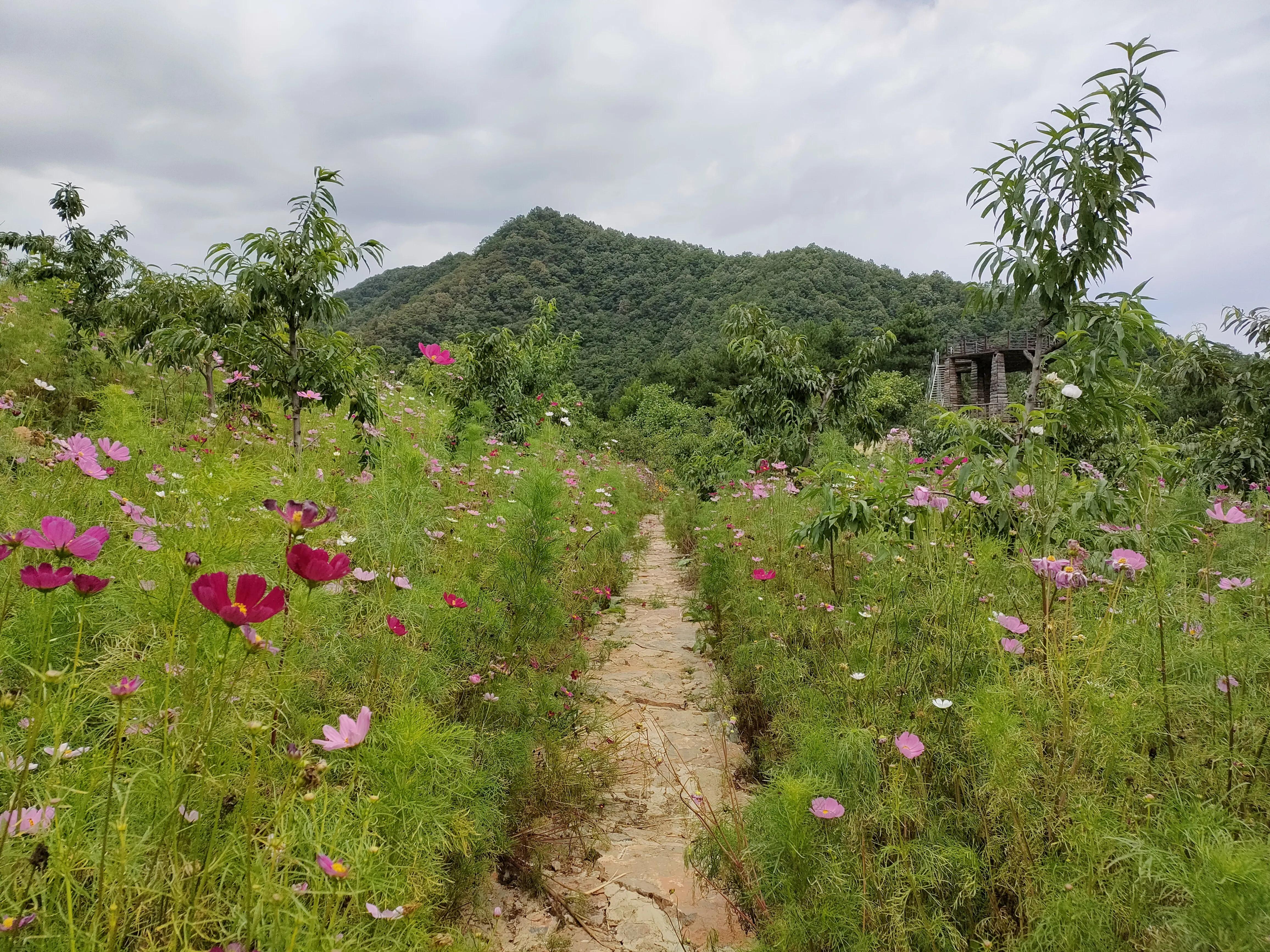 秦岭江山景区怎么样,秦岭江山景区最新通知