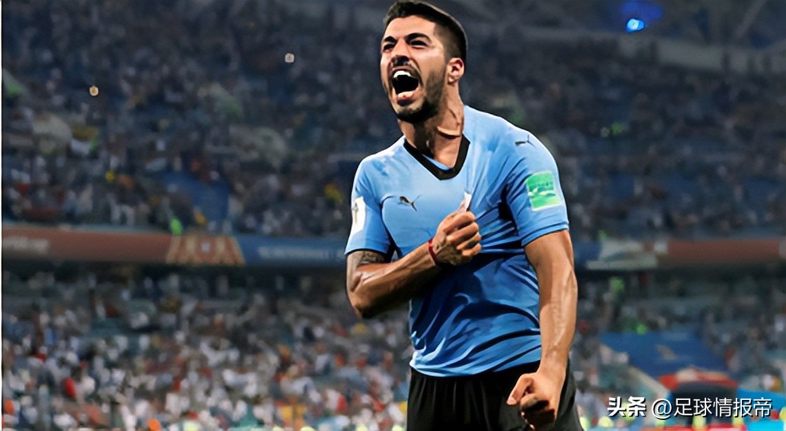 世界杯瑞士vs喀麦隆比赛的结果,世界杯预测瑞士喀麦隆谁赢