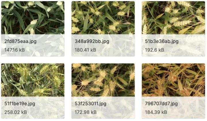 目标检测数据集平台,目标检测公开数据集