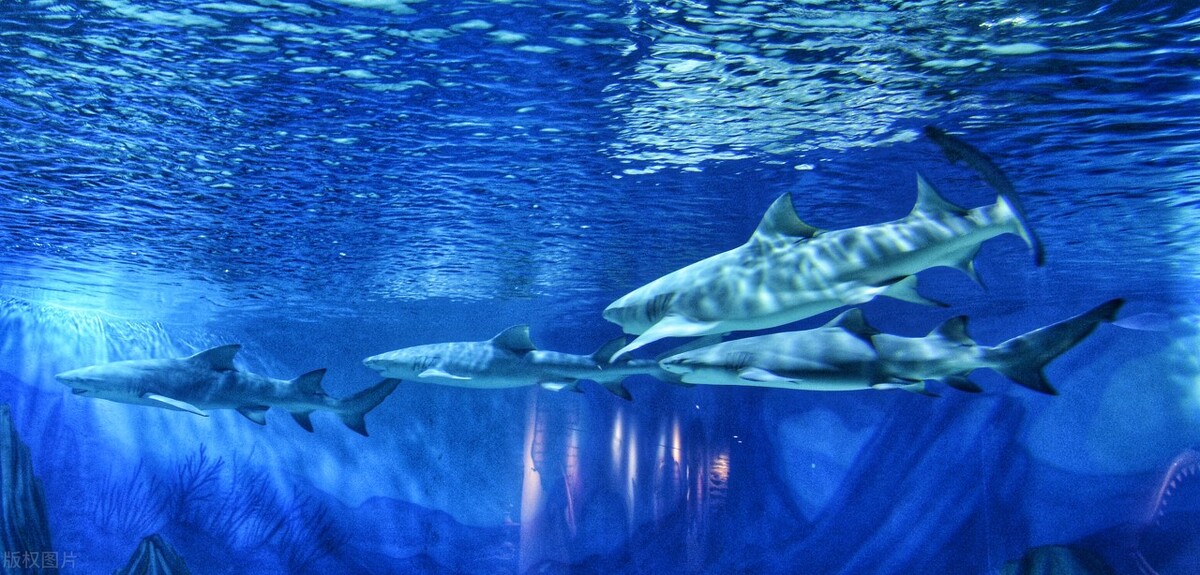 西安不可错过的地方,西安周边秋天一日游最佳景点推荐