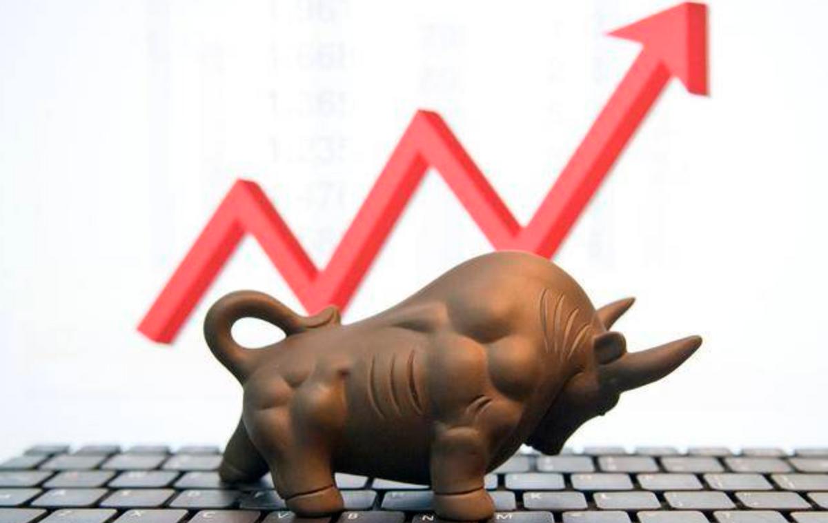 理财必学,最具成长性的大盘股