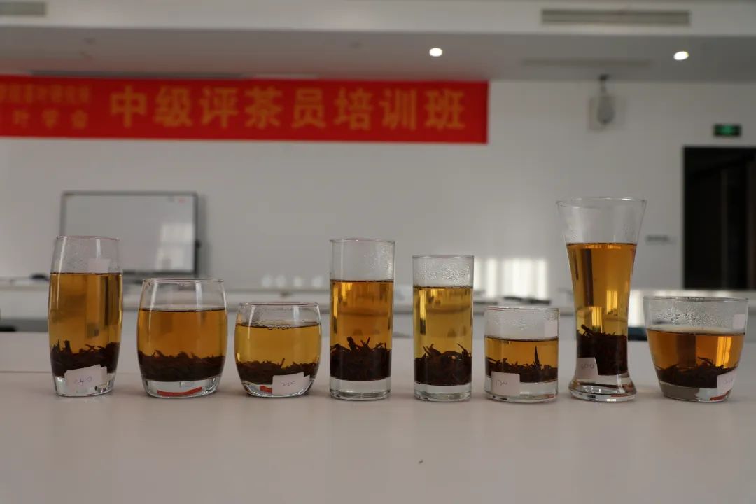 人家泡茶的正确泡法,用杯子泡茶的正确泡茶方法