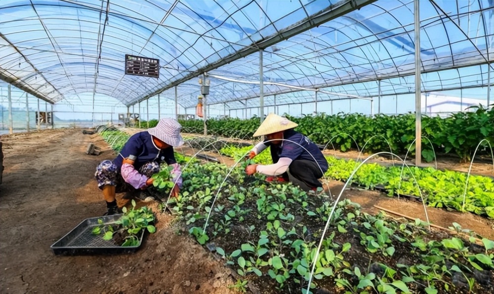 “喜我菜甲长”，住在这里，苏轼都羡慕