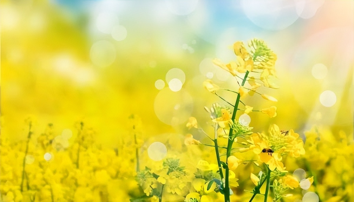 期货怎样做好短线交易,如何短线做期货交易员