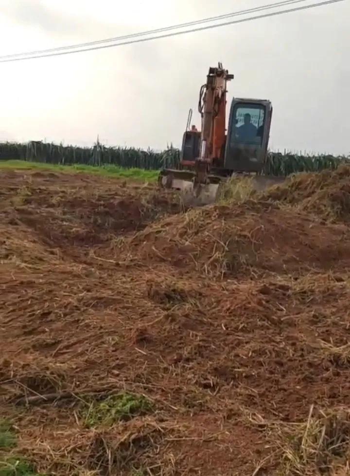 广西山歌阿五,阿五广西