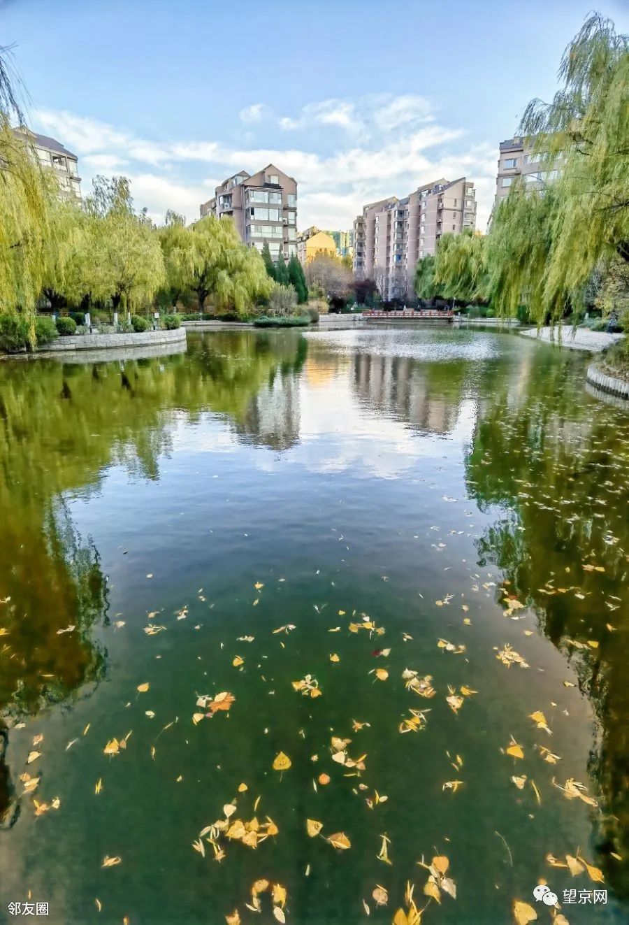 没想到小区的夜景如此美丽,望京环境好的小区