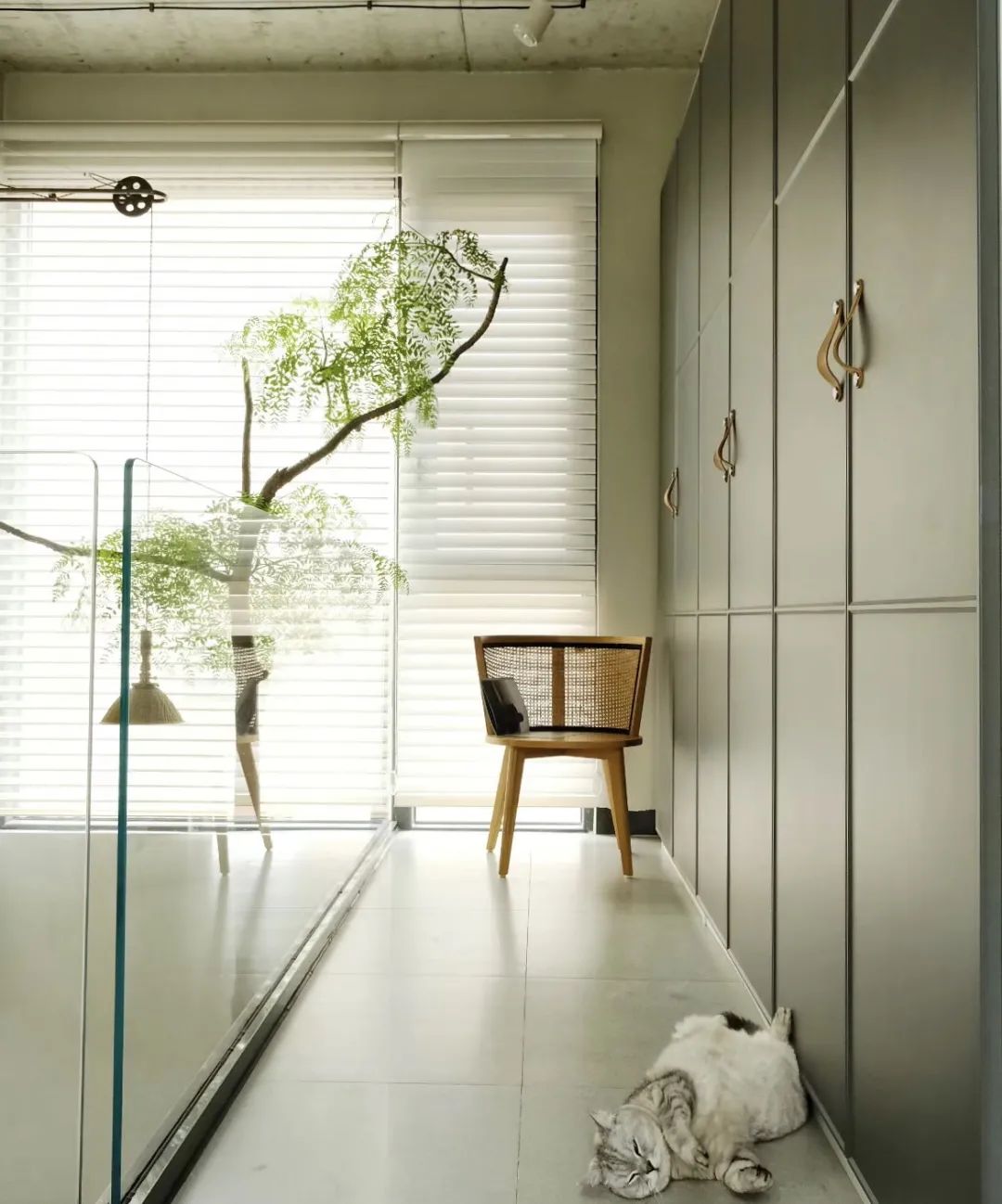 四个人回老家改造老房子,90后回农村建房子视频