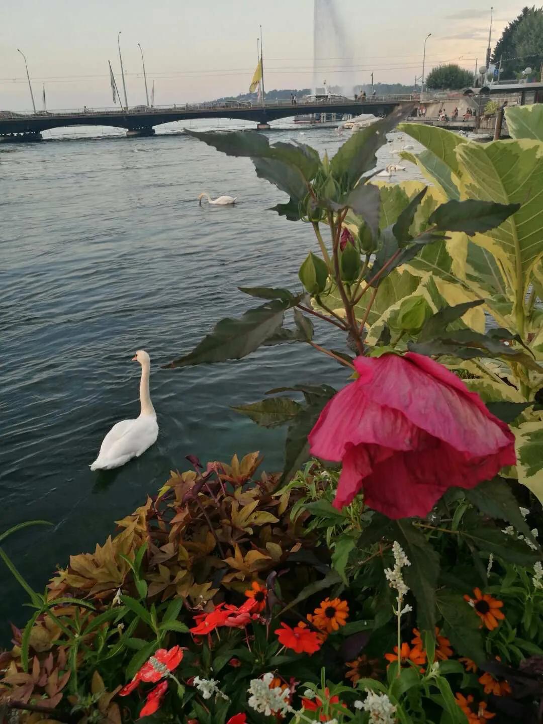 欧洲自由行慕尼黑,欧洲旅游自由行机票