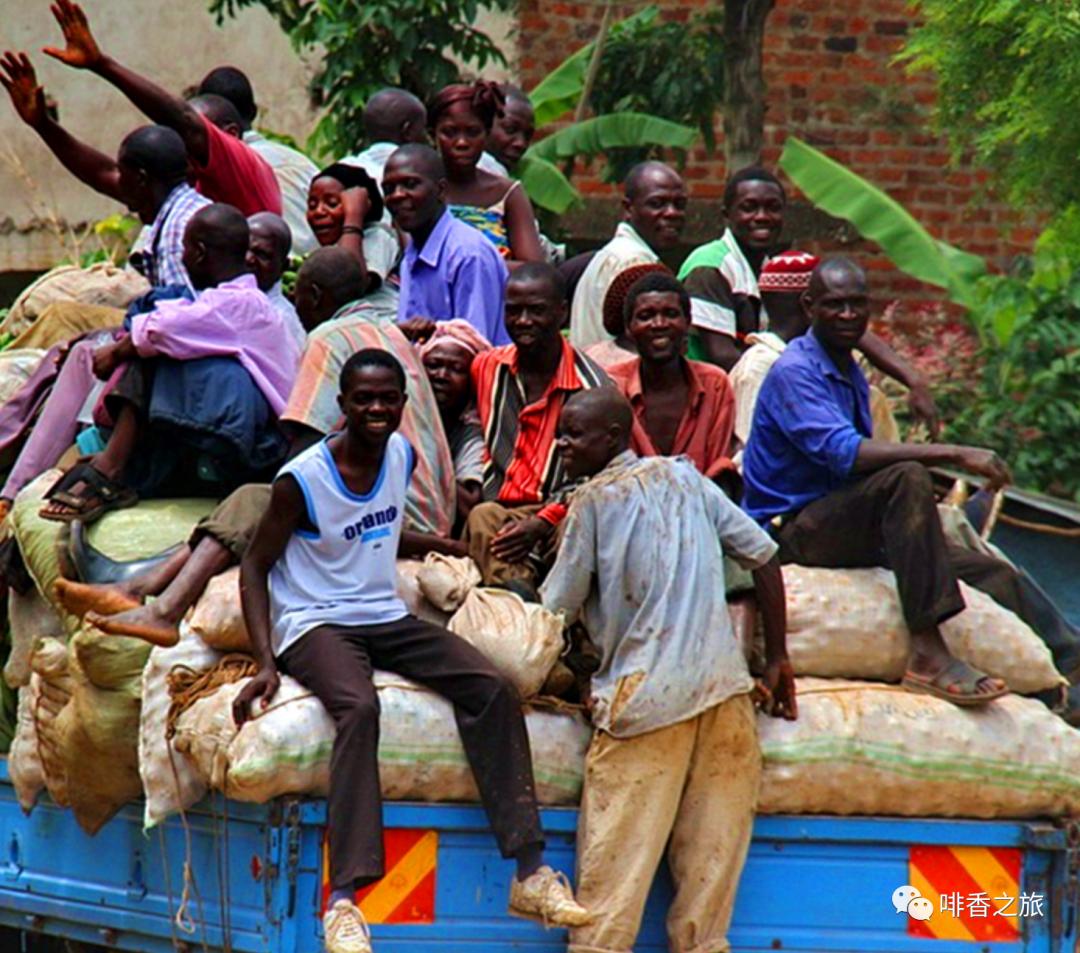 咖啡的产地及分布,咖啡四大著名产地