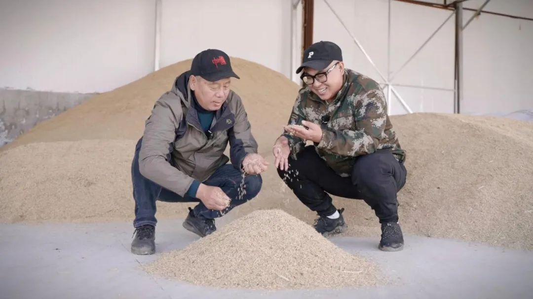 95后创业小伙回老家,95后小伙回国创业