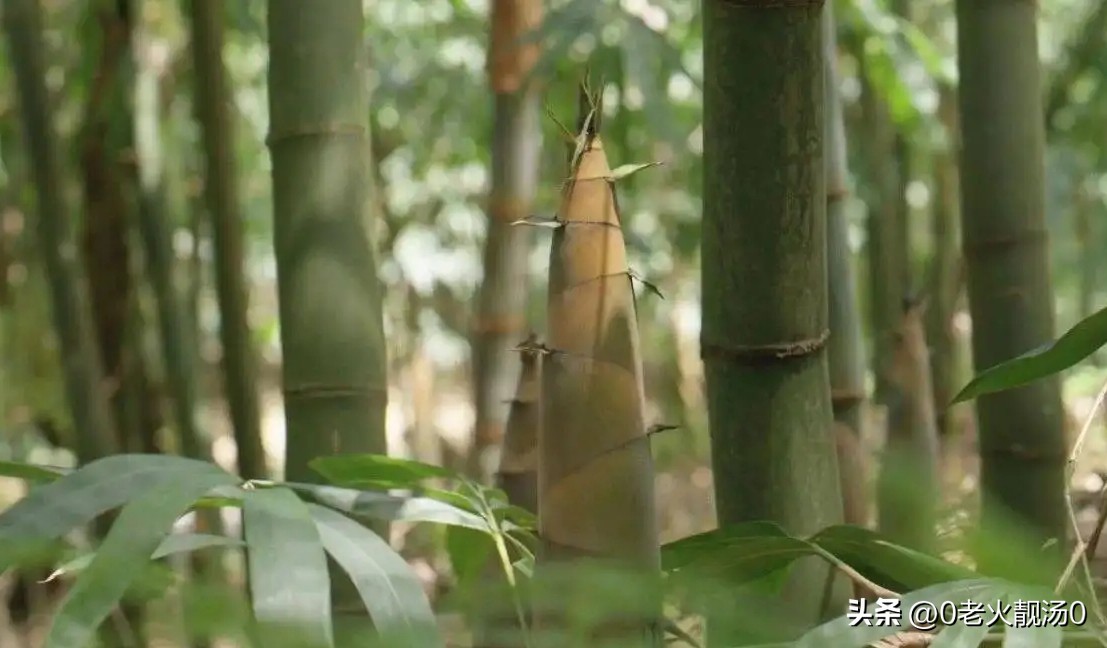 创业致富赚钱的秘密,创业有哪些小秘密