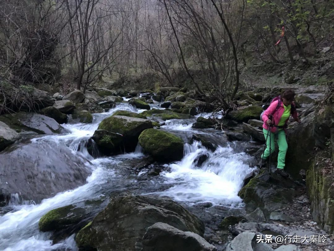 首阳山穿越大坪梁景色怎么样,大坪梁穿越到首阳山攻略