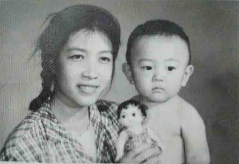 新闻联播前主播杨柳,新闻联播播音员杨柳现在状况