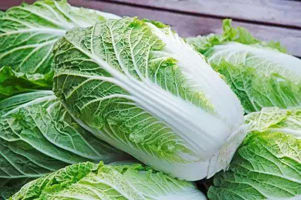 买白菜还是有一定的技巧,买白菜黄叶和绿叶哪个好