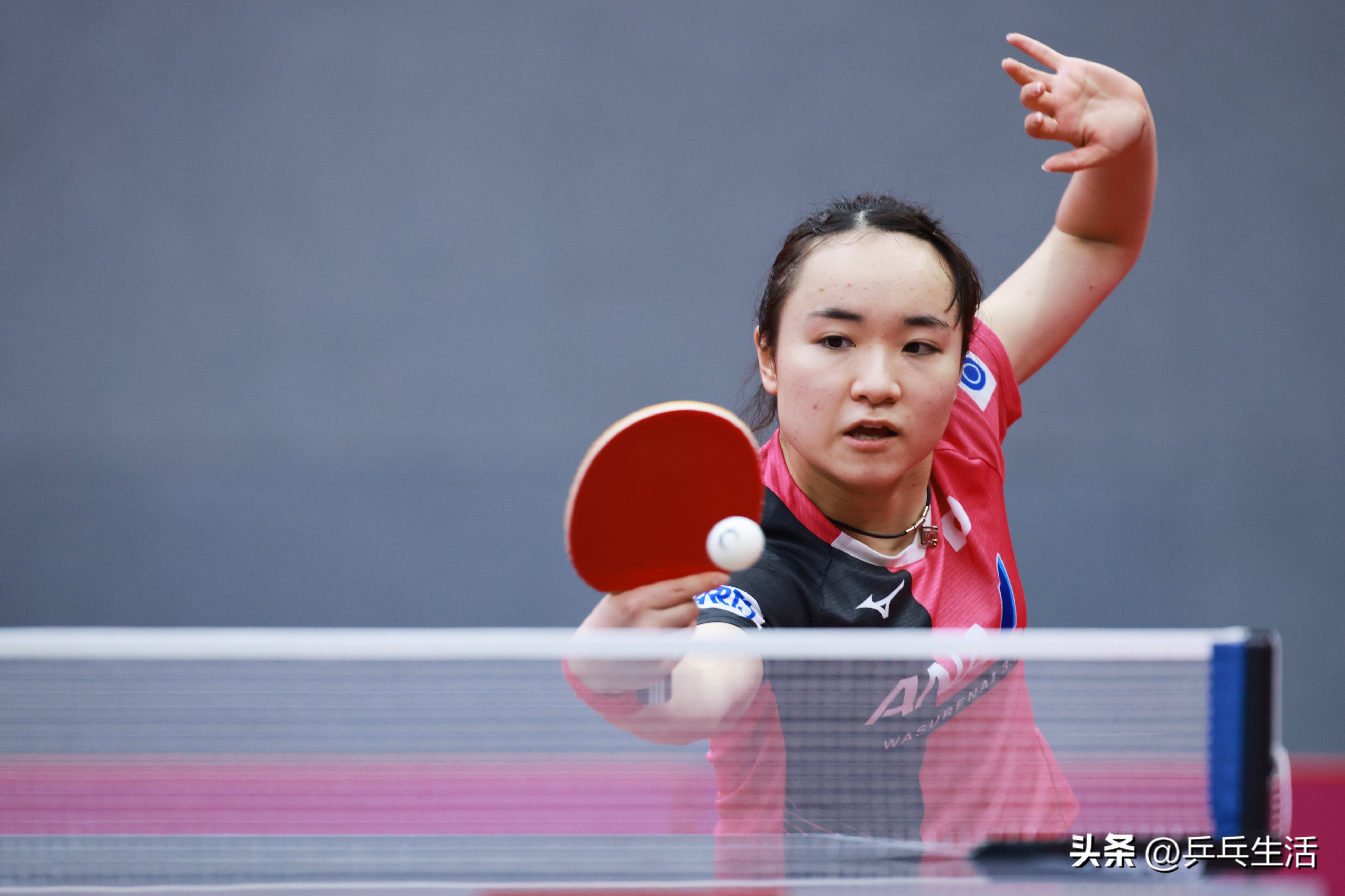 孙颖莎陈梦底板配置,孙颖莎陈梦正手攻球谁更准确