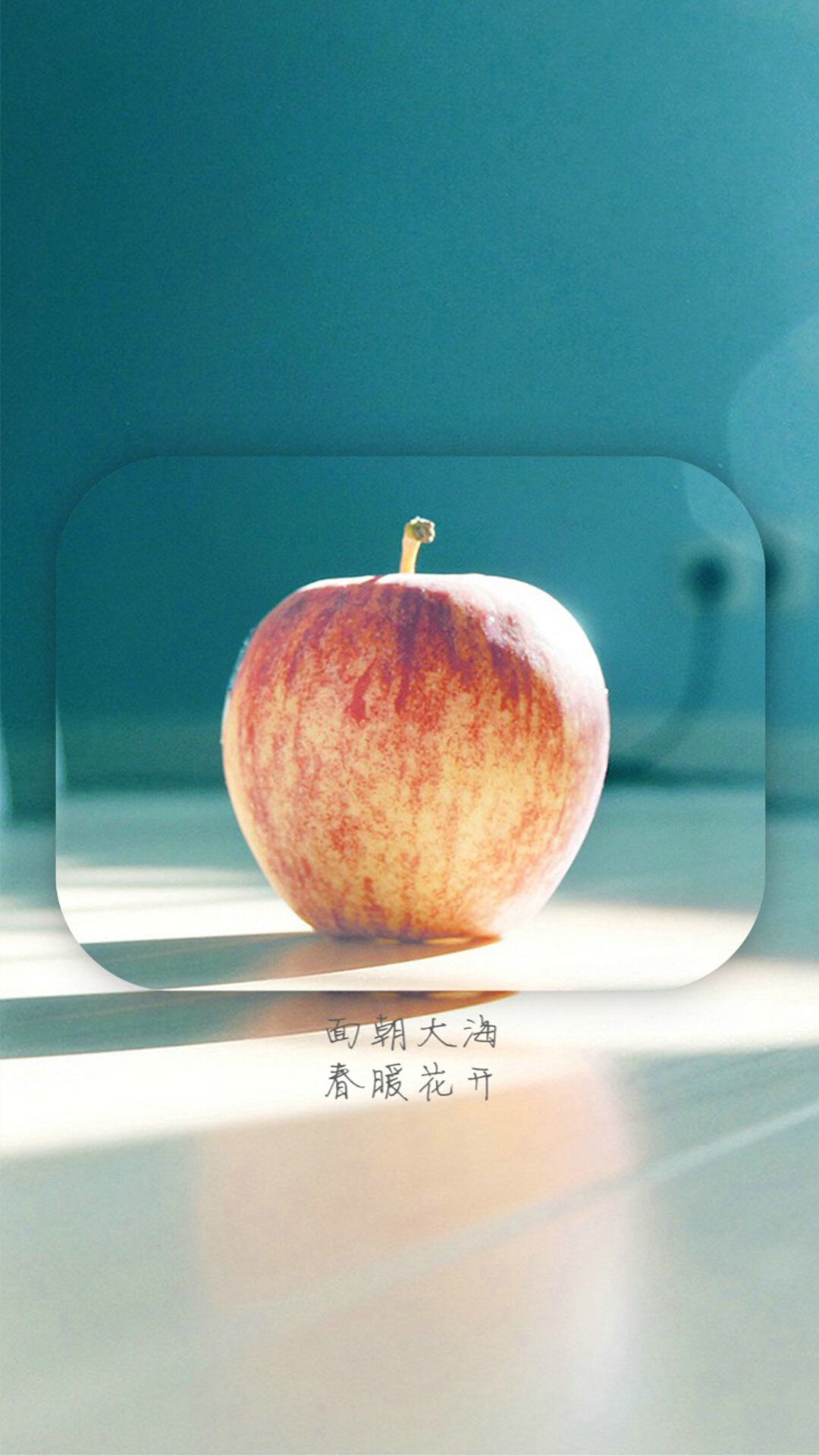 浅色壁纸高清图片花,超仙闺蜜壁纸动漫紫色和粉色