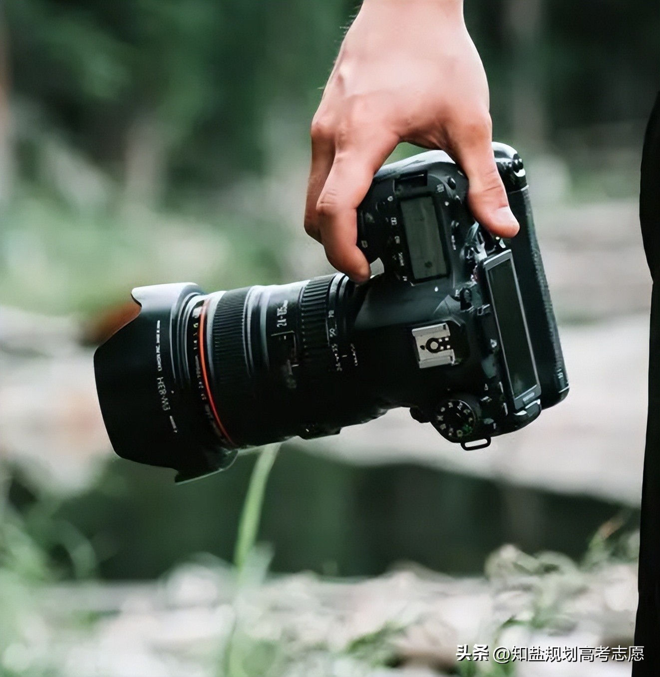 摄影专业属于美术学类吗,美术行业的前景和现状