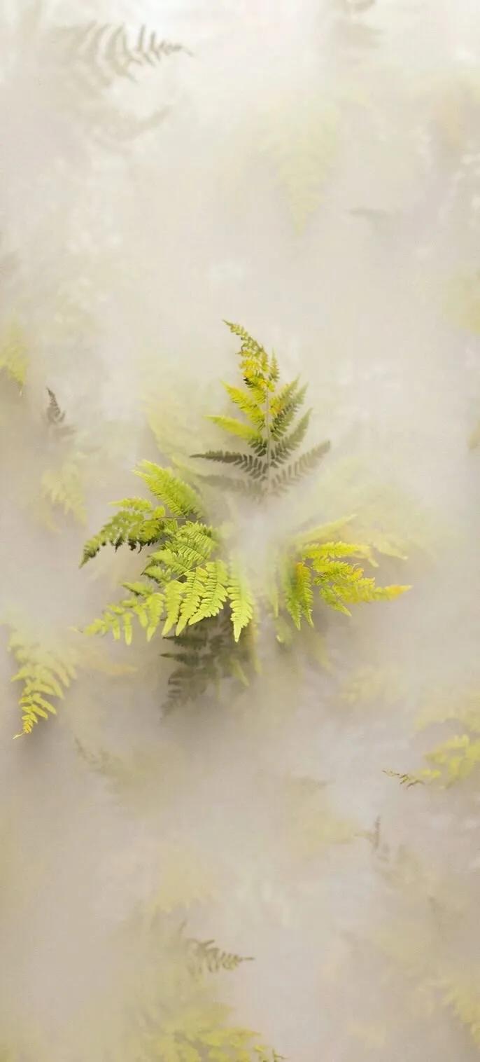 手机壁纸大全超好看动态,壁纸超清4k手机壁纸男生专用