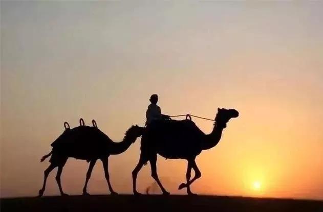 阿联酋一半海水一半沙漠航拍,阿联酋都是沙漠么