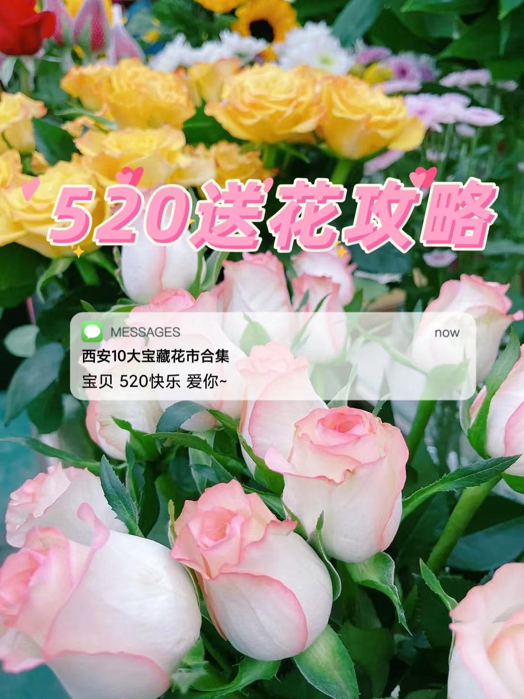 520送花|西安市内9大宝藏花市,分分钟省下上百块
