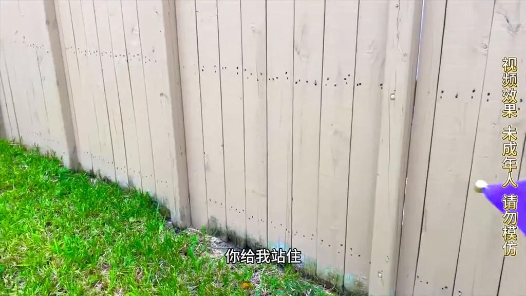 森亚卡通玩具视频,森亚玩具