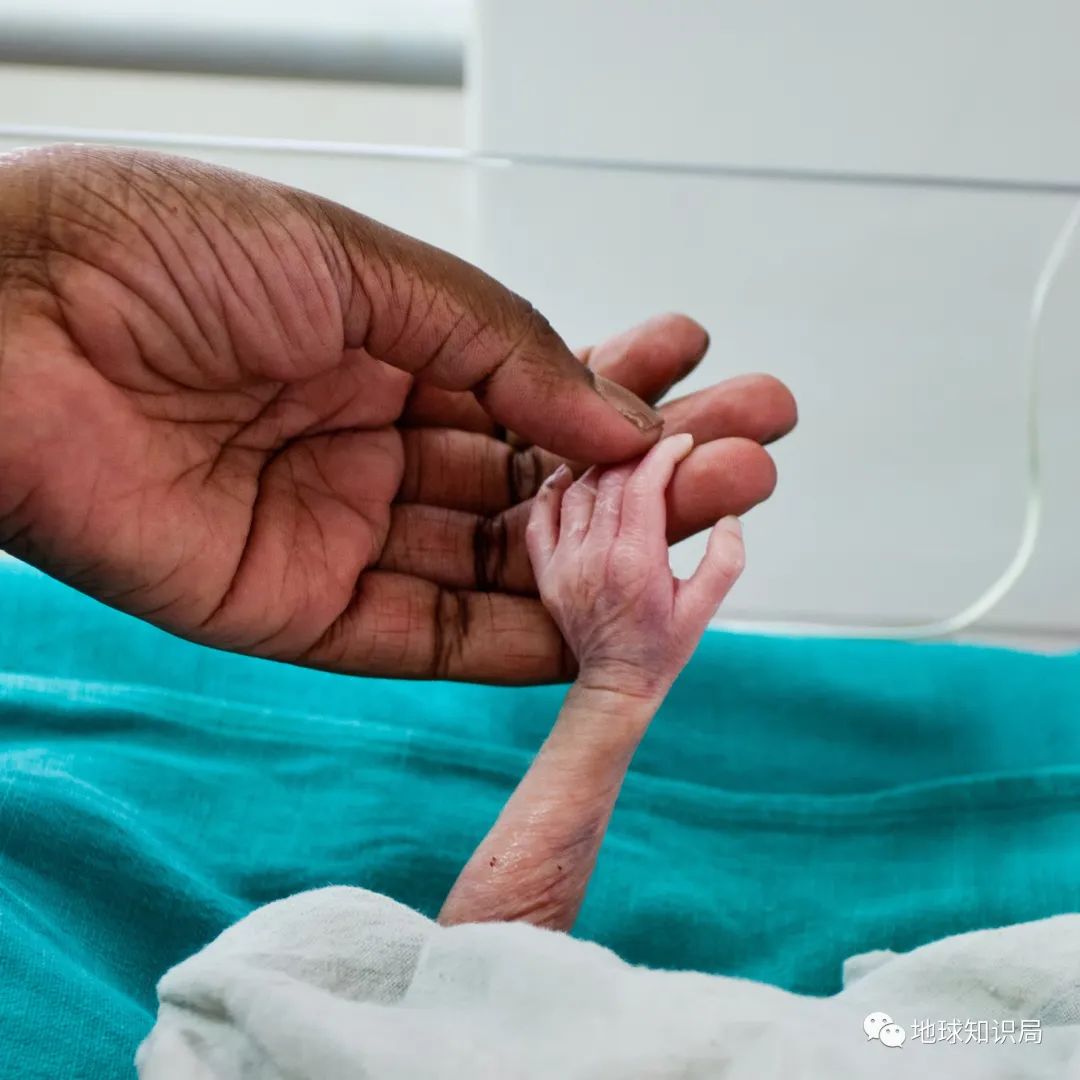 印度*伦乱**为何屡禁不止?|地球知识局