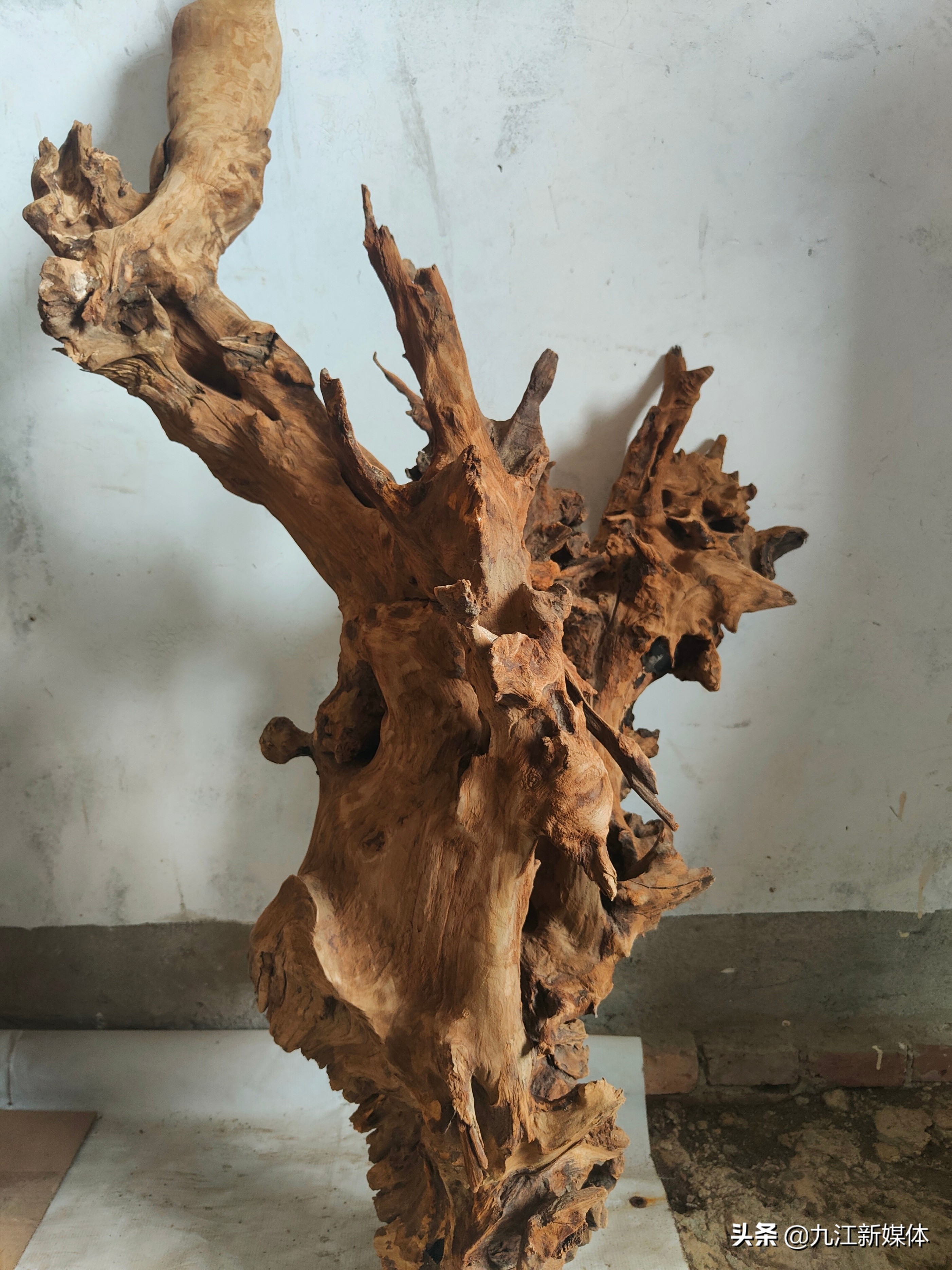 江西省根雕大师,民间根雕艺人展示根雕