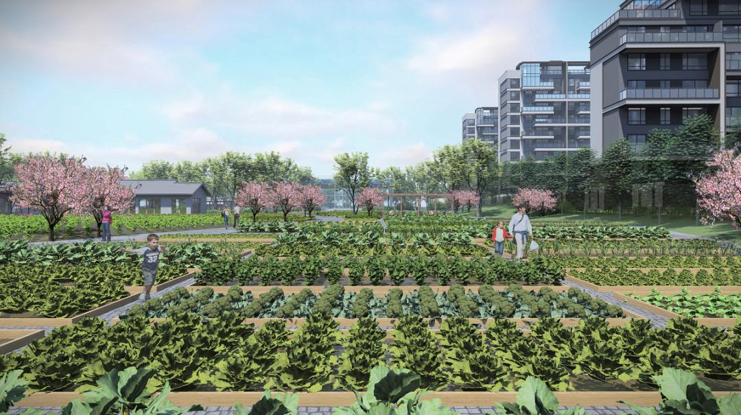 儿童活动场地设计效果图,儿童区域设计效果图