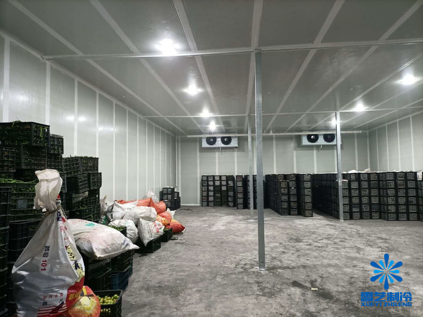 建造冷库哪种最赚钱,建冷库能赚钱吗