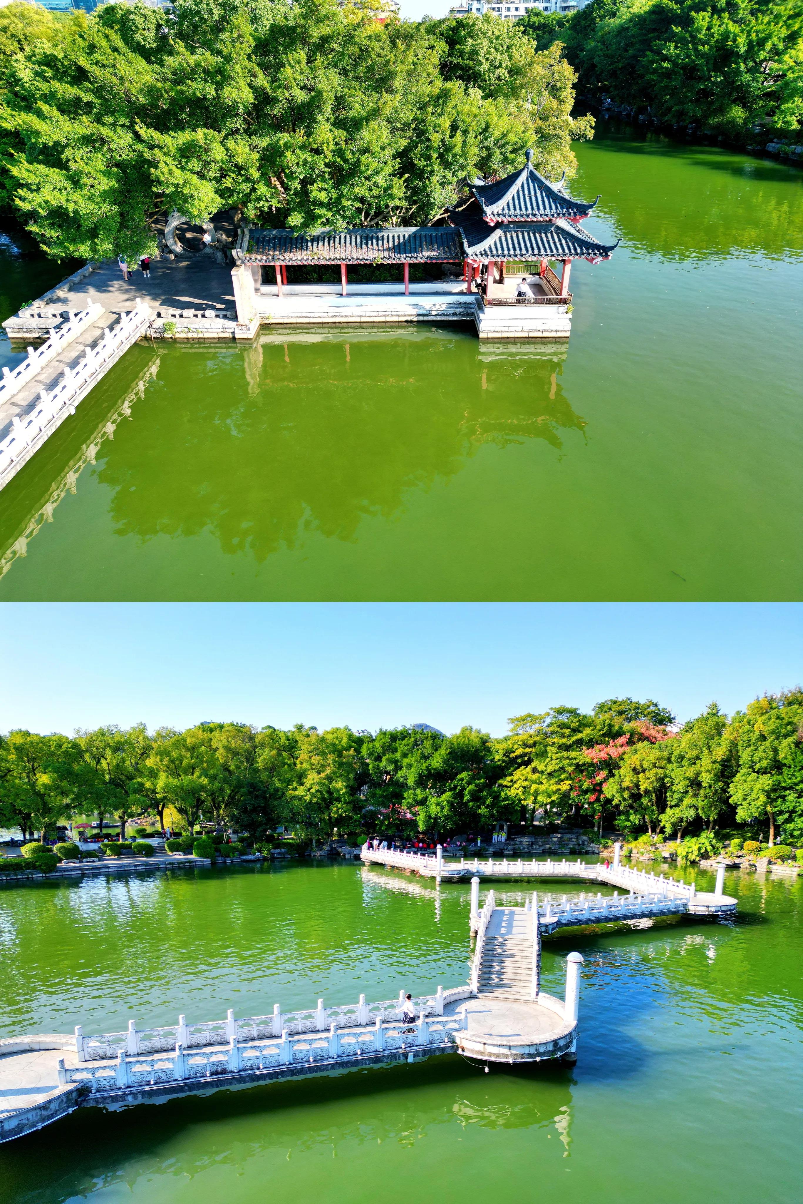 桂林榕湖之旅,春天桂林榕湖旅游攻略