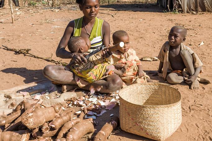 红薯粉条造假事件分析,315假红薯粉条