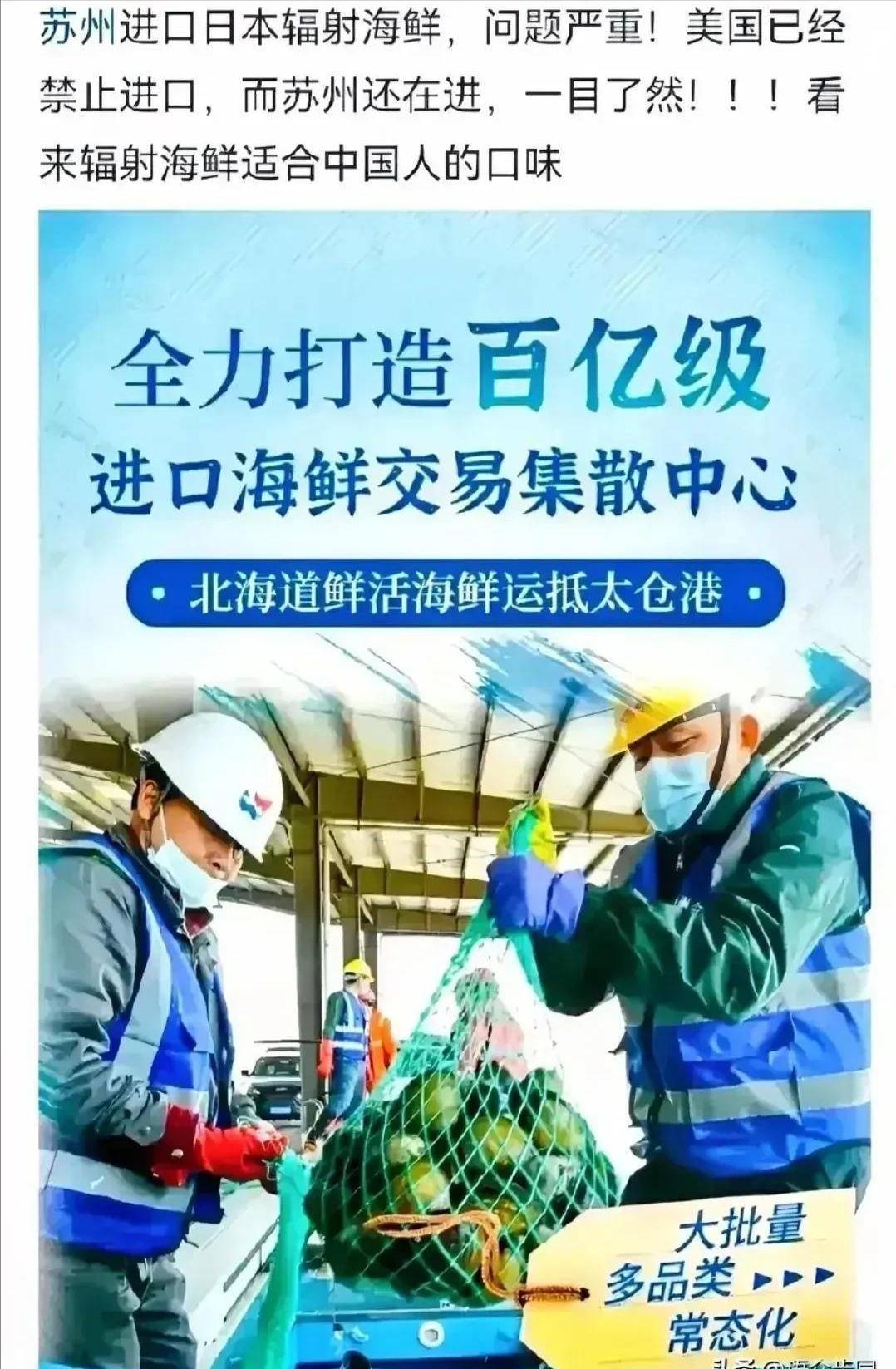 苏州太仓引进日本海鲜,江苏太仓组团出海抢订单