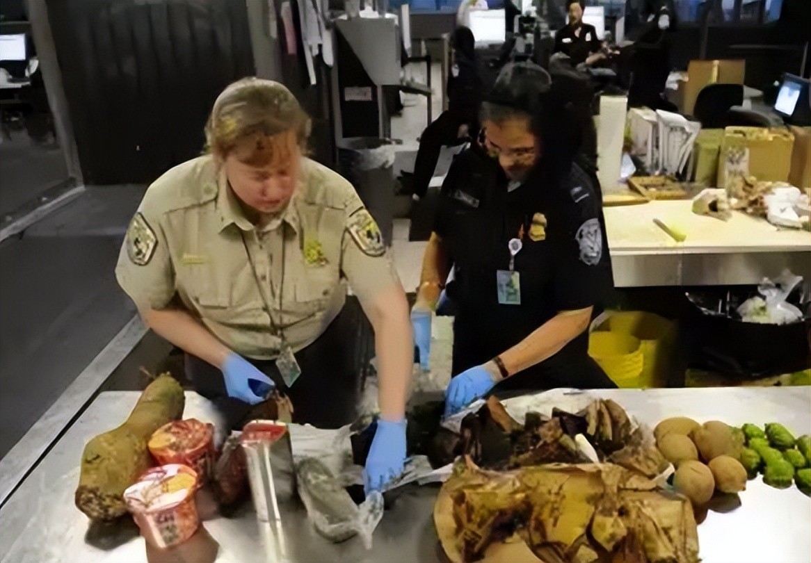 一男子出国携带方便面竟被罚款，这是特殊规定还是针对中国人呢？