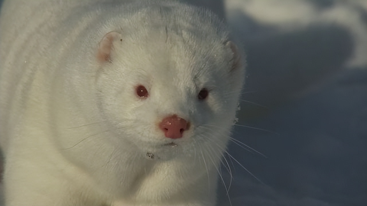 小伙创业年亏40万后逆袭,小伙创业亏损600万