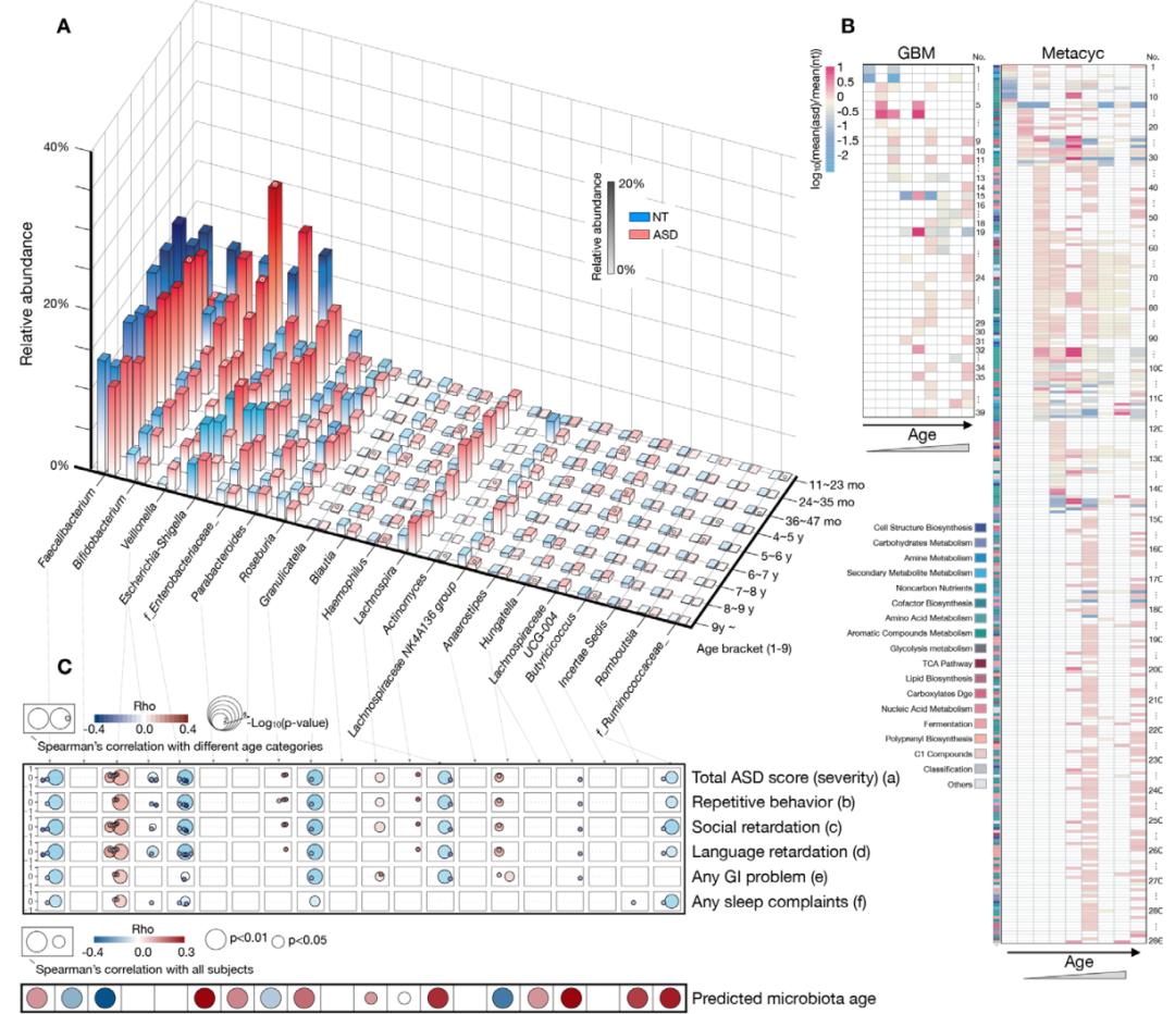 肠道菌群和抑郁精神疾病的关系,肠道菌群与抑郁症及自闭症