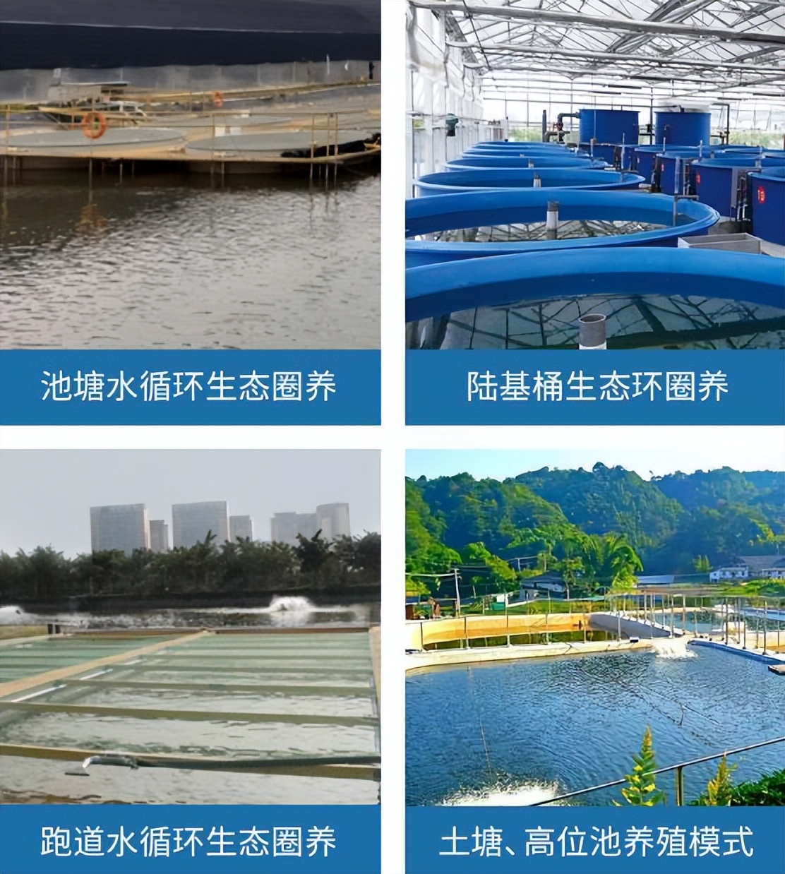 鏅烘収姘翠骇鍏绘畺鍦ㄧ嚎鐩戞祴绯荤粺,姘翠骇鍏绘畺杩滅▼鏅鸿兘绯荤粺