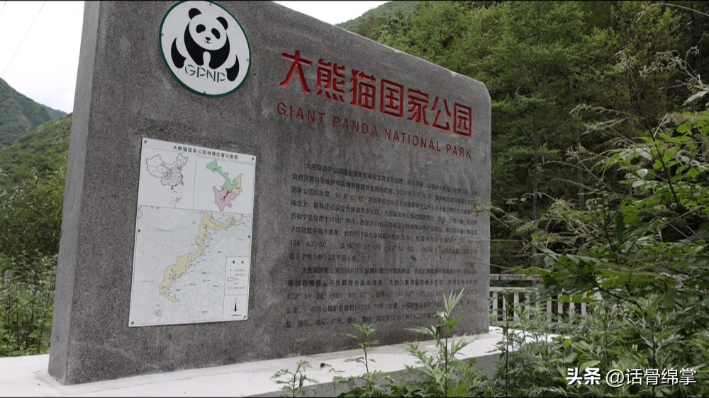 六五环境日关爱自然图片,六五环境日是什么