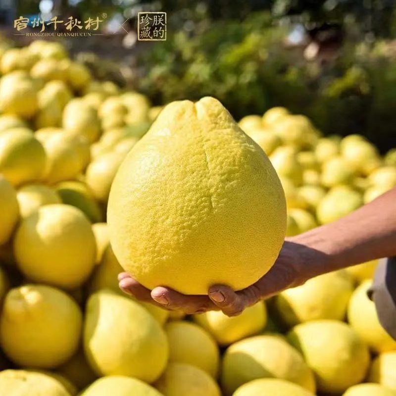 在广西，你永远不知道天上会掉下来什么