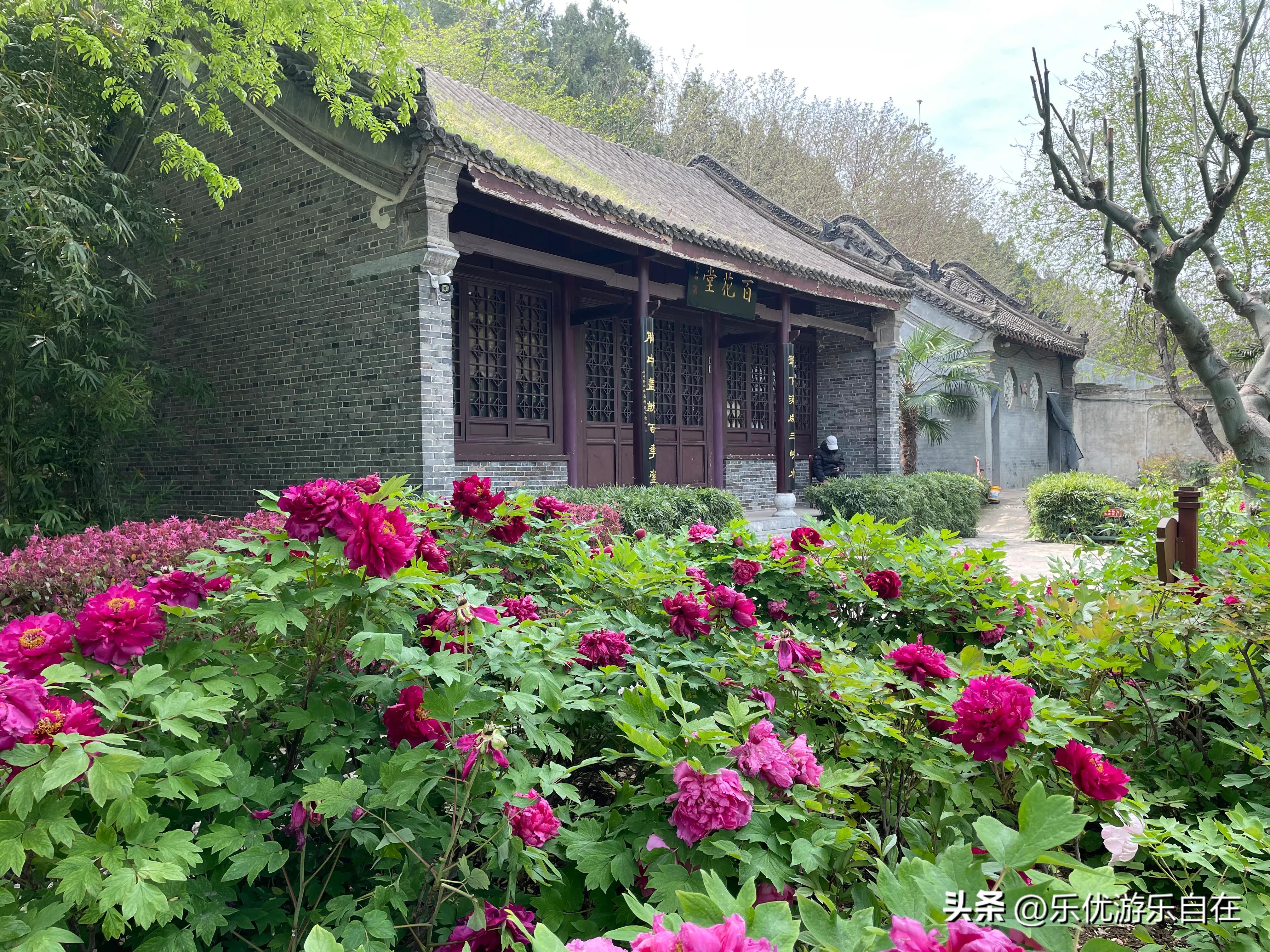 老家河南回城邓州什么意思,老家河南邓州穰东镇