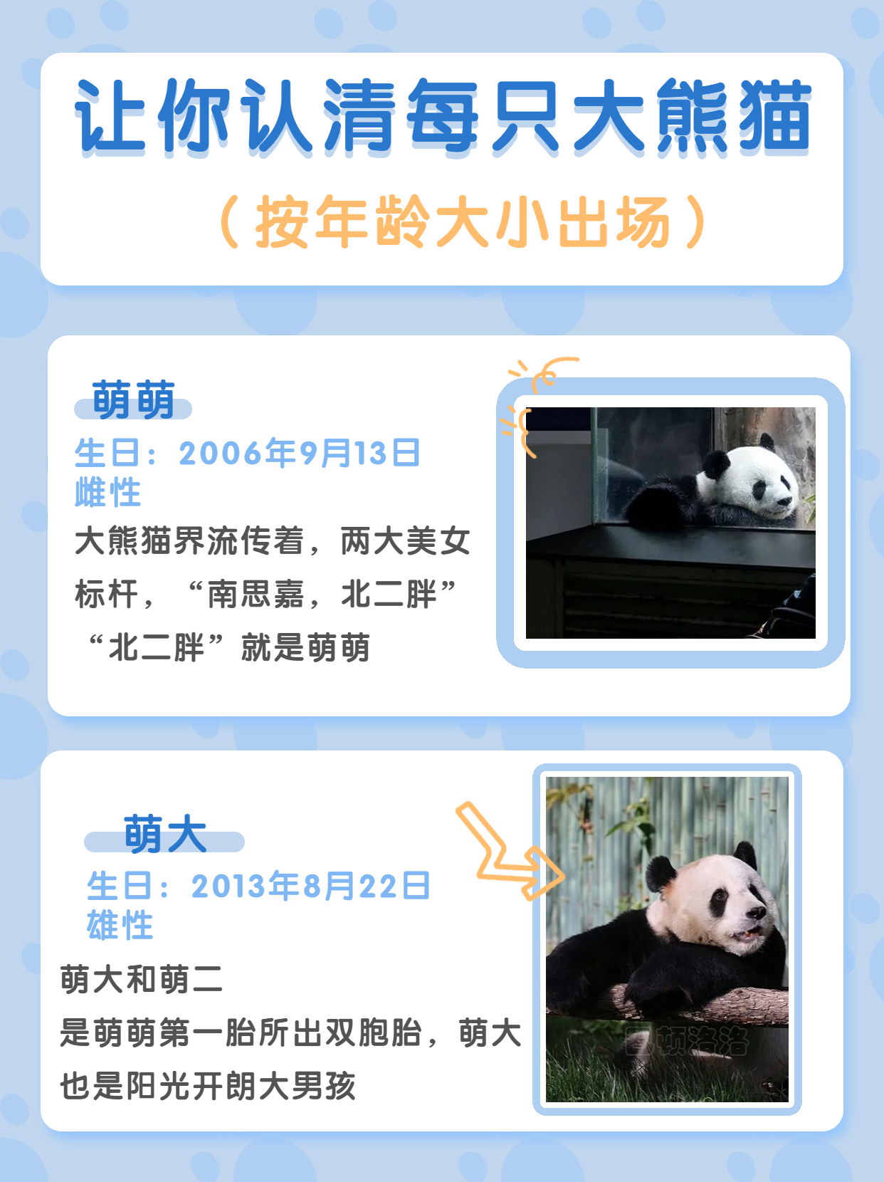 长隆野生动物园行李可以寄存的吗,淹城野生动物园能不能寄存行李